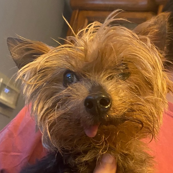 Meet your Posher, Natalia - Picture 1 of 1